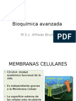 Tercera Clase de Bioquimica Avanzada M.S.C Bruno