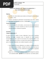 Trabajo Colaborativo 2- Neuropsico-2012- i