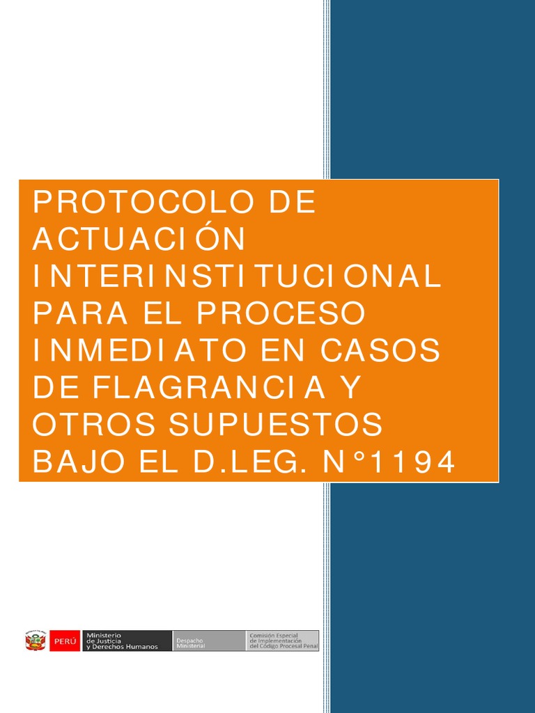 Protocolo de PROCESO INMEDIATO PDF | PDF | Policía | Ley procesal