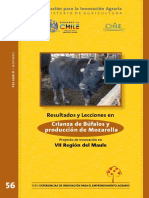 Bufalo PDF