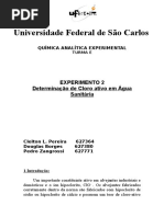 experimento 2 cloro ativo.docx