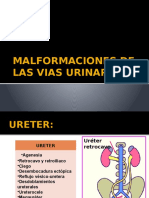 Malformaciones de Las Vias Urinarias