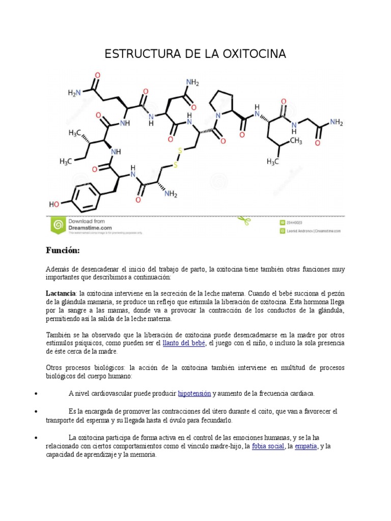 Estructura de La Oxitocina | PDF