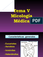 Micología 1