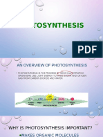 Photosynthesis