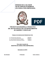MIEL A NIVEL EMPRESARIAL.pdf