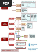 Algoritmo terapéutico para acné | PDF