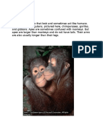 Apes