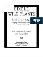 31112220 Edible Wild Plants