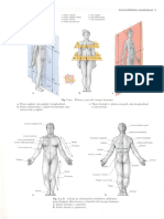 Anatomy For Artists - HQ Images - Vol 1 PDF