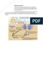 Hipotesis Jembatan Penghubung