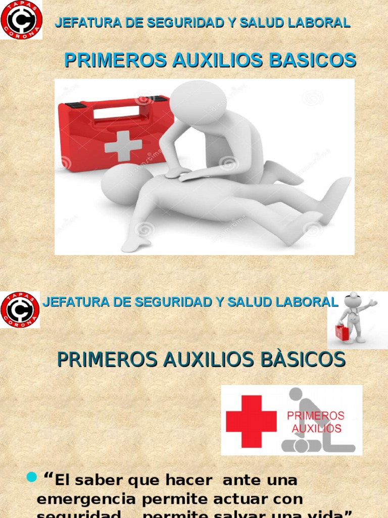 Primeros Auxilios PDF Primeros auxilios Reanimación cardiopulmonar