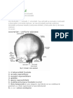 Neurocraniul - Anatomia (Frontal, Etmoid, Sfenoid, Temporal)