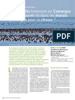 FS 303 Regime Canards Camargue PDF