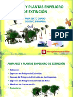 animales y plantas