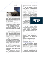 Acerca de Los Iones PDF