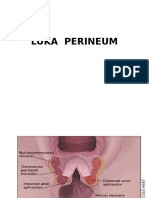 Luka Perineum