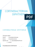 C Diphtheriae