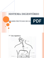 Sistema Digestório