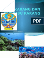 01 Karang Dan Terumbu Karang