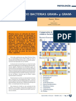 025-027-Patologia-Bacterias-Gram-positivas-gram-negativas-Mora-SA201202.pdf