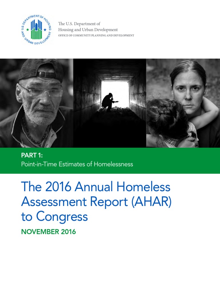 Annual Homeless Assessment Report PDF