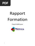 Rapport de Formation : Modèle et Exemples | PDF
