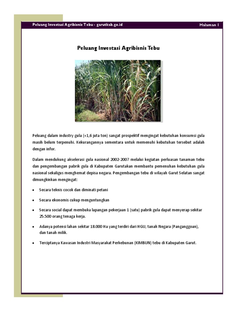 Tebu PDF | PDF