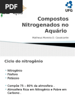COMPOSTOS NITROGENADOSs.pptx