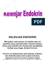 anatomi kel. endokrin 1