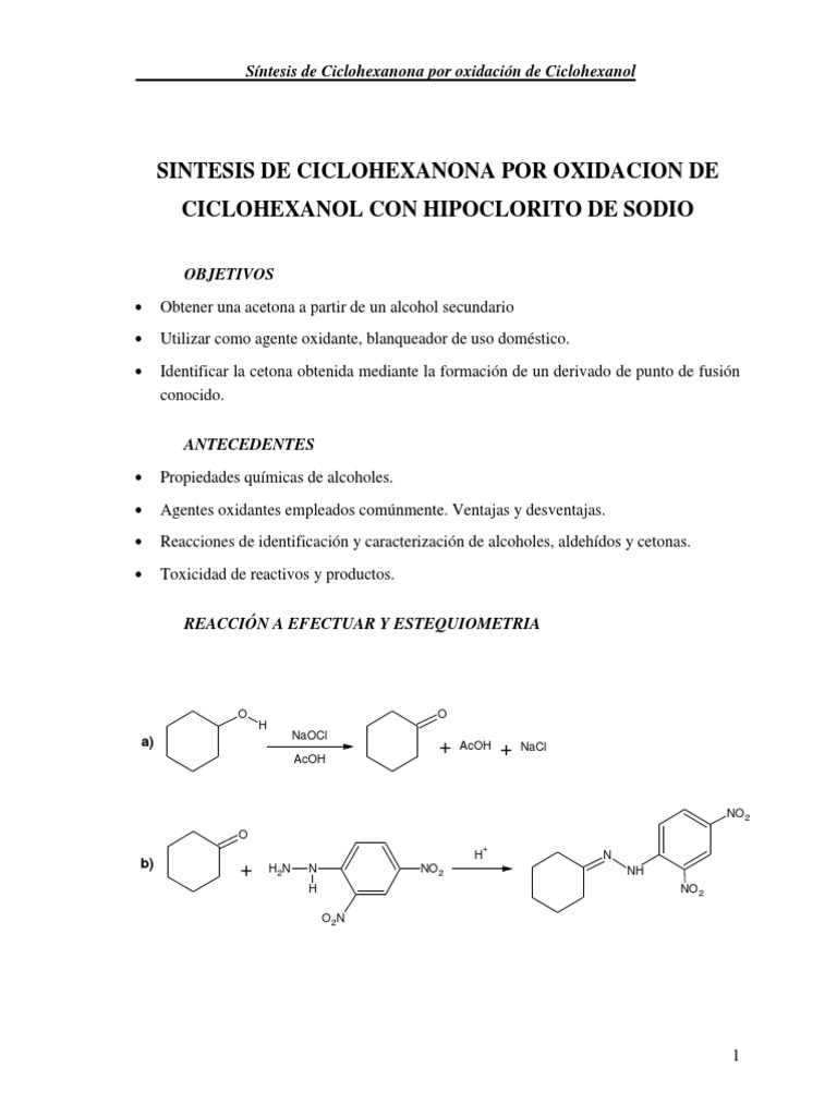 Síntesis de Ciclohexanona a partir de Ciclohexanol | PDF | Cloruro | Cromo