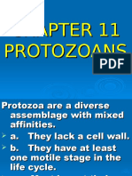 Chapter 11 Protozoa