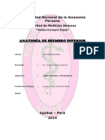 Anatomadelosmiembrosinferioreschristophergallo 140728105556 Phpapp02