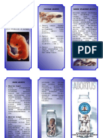 Abortus Leaflet