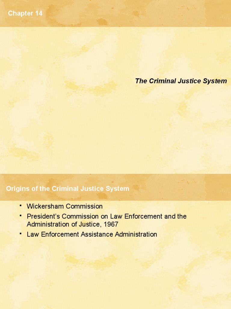 Overview of the Criminal Justice System | PDF | Criminal Justice ...