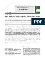 Effects of Sustained Cold and Heat Stress on Energy Intake, Growth and Mitochondrial Function of Broiler Chickens