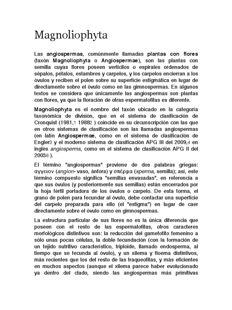 Características de Magnoliophyta | PDF | Flores | Botánica
