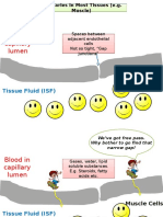 Blood Brain Barrier - 10.12.15