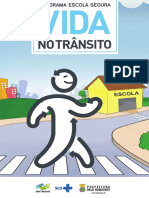 Programa Vida No Transito Web