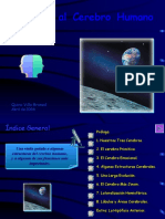 2.El_cerebro.ppt