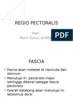 Regio Pectoralis