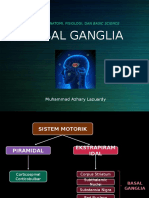 Basal Ganglia