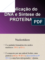 Duplicação  DNA sintese de proteinas