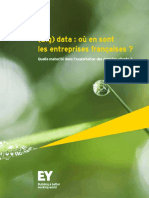 EY-etude-big-data-2014.pdf