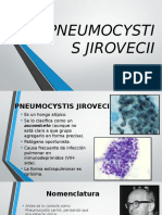 Pneumocystis Jirovecii