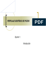 PERFILAJE GEOFÍSICO DE POZOS - Clase 1-2010 PDF