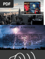 Hurricane Andrew