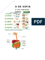 Trabajo de Sofia