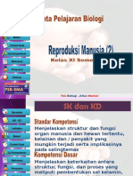 BA Reproduksi Manusia2