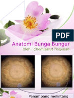 SPT Kelompok A. Anatomi Bunga